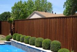 Inspiration Gallery - Pool Fencing - Image: 127